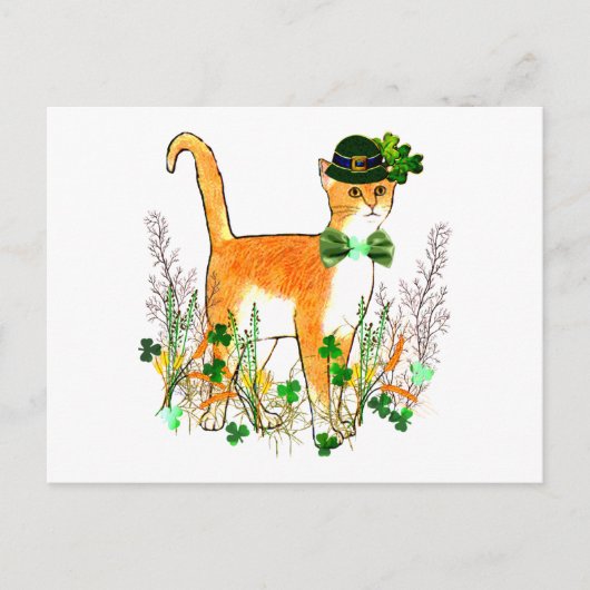 St. Patrick's Day Cat Briefkaart (Voorkant)