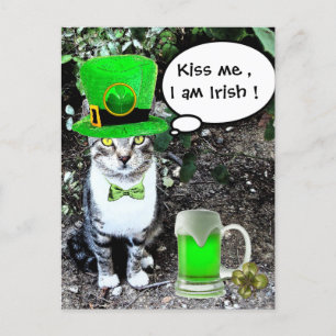 ST PATRICK'S DAY CAT MET GREEN IRISH BEER BRIEFKAART