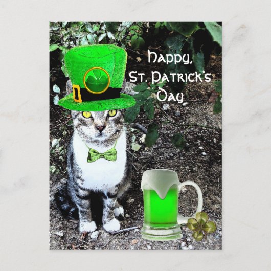 ST PATRICK'S DAY CAT MET GREEN IRISH BEER BRIEFKAART (Voorkant)