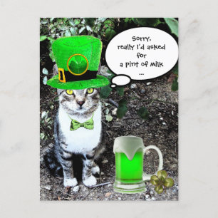 ST PATRICK'S DAY CAT MET GREEN IRISH BEER BRIEFKAART