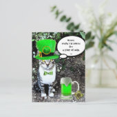 ST PATRICK'S DAY CAT MET GREEN IRISH BEER BRIEFKAART (Staand voorkant)
