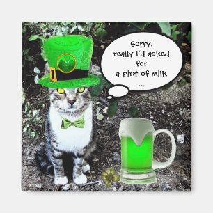 ST PATRICK'S DAY CAT MET GREEN IRISH BEER MAGNEET