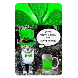 ST PATRICK'S DAY CAT MET GREEN IRISH BEER MAGNEET