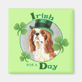 St. Patrick's Day Cavalier Magneet (Voorkant)