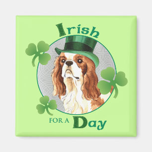 St. Patrick's Day Cavalier Magneet