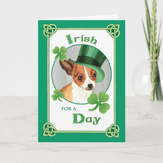 St. Patrick's Day Chihuahua Kaart (Voorkant)