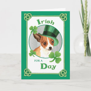 St. Patrick's Day Chihuahua Kaart