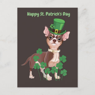St. Patrick's Day Chihuahua puppy briefkaart