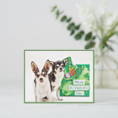 St. Patrick's Day Chihuahua's Briefkaart (Staand voorkant)