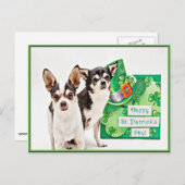 St. Patrick's Day Chihuahua's Briefkaart (Voorkant / Achterkant)