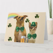 St. Patrick's Day Chihuahuas Kaart (Voorkant)