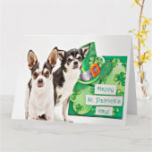St. Patrick's Day Chihuahua's Kaart (Gele Bloem)