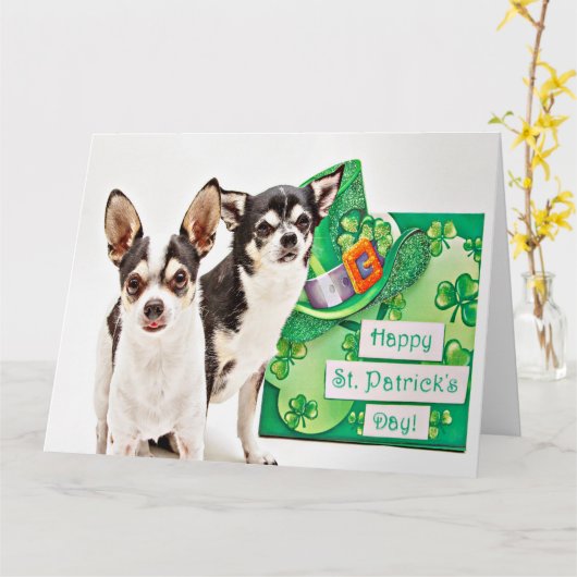 St. Patrick's Day Chihuahua's Kaart (Gele Bloem)
