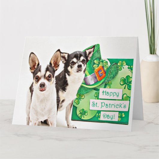St. Patrick's Day Chihuahua's Kaart (Voorkant)