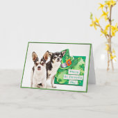 St. Patrick's Day Chihuahua's Kaart (Gele Bloem)
