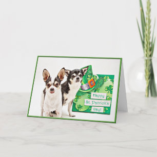 St. Patrick's Day Chihuahua's Kaart