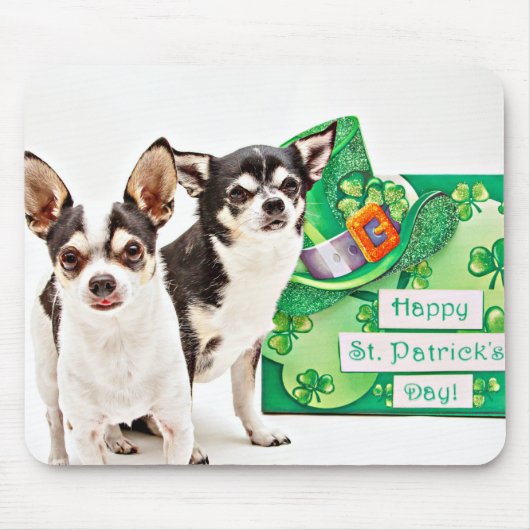 St. Patrick's Day Chihuahua's Muismat (Voorkant)