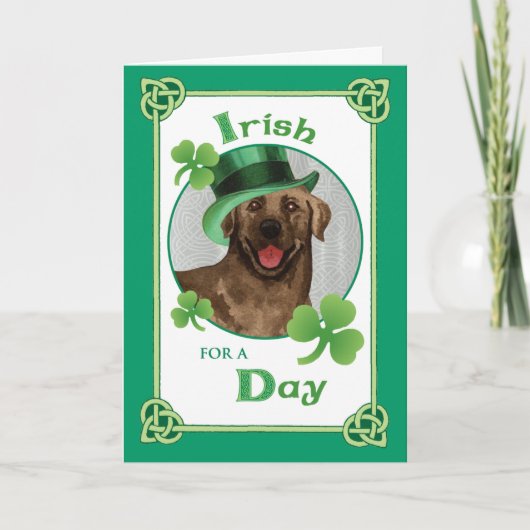 St. Patrick's Day Chocolate Lab Kaart (Voorkant)
