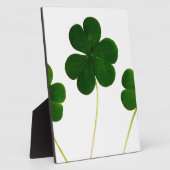 st patricks day clover shamrock fotoplaat (Zijkant)