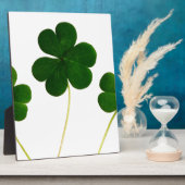 st patricks day clover shamrock fotoplaat (Zijkant)