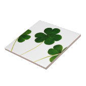 st patricks day clover shamrock tegeltje (Zijkant)