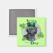 St. Patrick's Day Curly-Coated Retriever Magneet (Voorkant / Achterkant)
