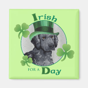 St. Patrick's Day Curly-Coated Retriever Magneet