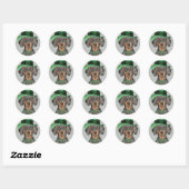 St. Patrick's Day Dachshund Classic Round Sticker (Vel)