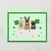 St Patricks Day Dog Mail Briefkaart (Voorkant / Achterkant)