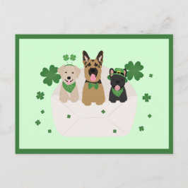 St Patricks Day Dog Mail Briefkaart