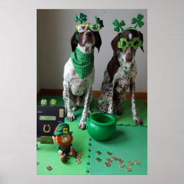 St. Patrick's Day Dogs Party Value Poster
