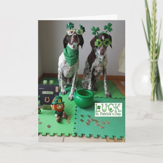 St. Patrick's Day Dogs Ready to Party Kaart (Voorkant)