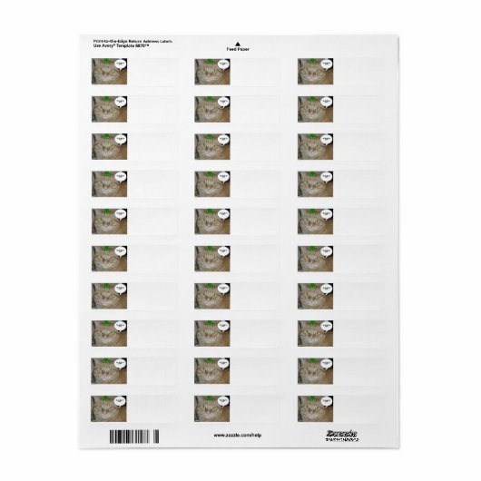 St. Patrick's Day Etiket (Full Sheet)