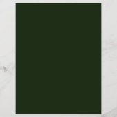 St. Patrick's Day Event Party Flyer (Achterkant)