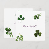 ST. PATRICK'S DAY FEESTJE klaver wit groen Kaart (Voorkant / Achterkant)