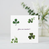 ST. PATRICK'S DAY FEESTJE klaver wit groen Kaart (Staand voorkant)