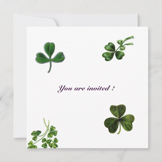 ST. PATRICK'S DAY FEESTJE klaver wit groen Kaart (Voorkant)