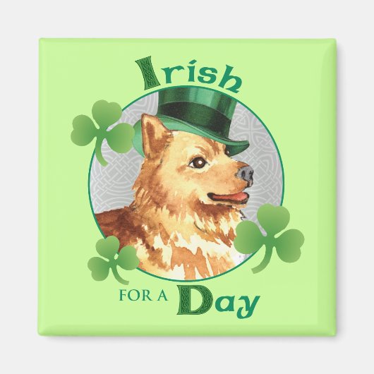St. Patrick's Day Finse Spitz Magneet (Voorkant)
