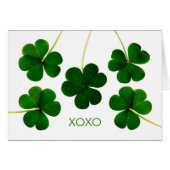 St. Patrick's Day for Boyvriend, XOXO Shamrocks (Voorkant Horizontaal)