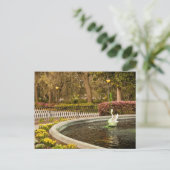 St Patrick's Day - Forsyth Fountain, Savannah, GA Briefkaart (Staand voorkant)