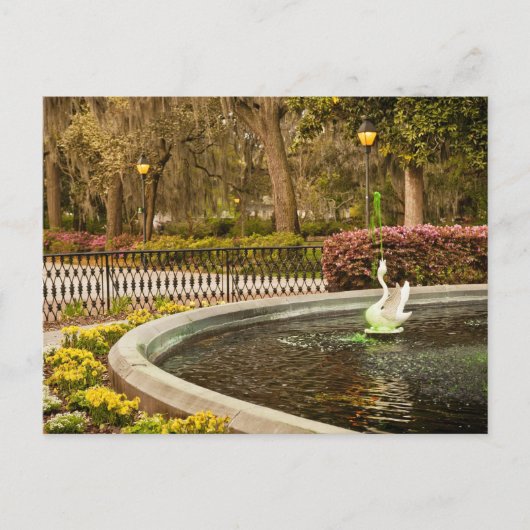 St Patrick's Day - Forsyth Fountain, Savannah, GA Briefkaart (Voorkant)