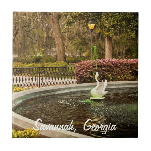 St Patrick's Day - Forsyth Fountain, Savannah, GA Tegeltje (Voorkant)