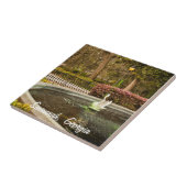 St Patrick's Day - Forsyth Fountain, Savannah, GA Tegeltje (Zijkant)