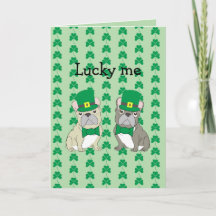 St. Patrick's Day, Franse Bulldog 