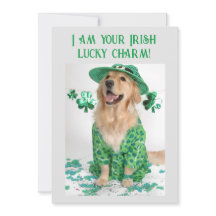 St. Patrick's Day Funny  Hondenkaart