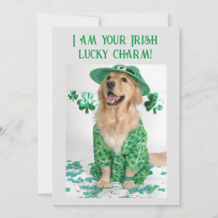 St. Patrick's Day Funny  Hondenkaart Feestdagenkaart
