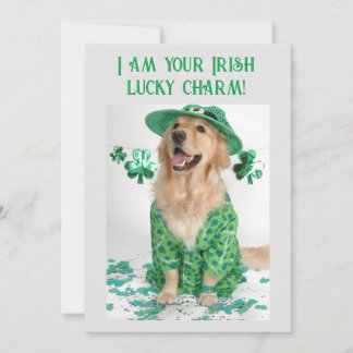 St. Patrick's Day Funny  Hondenkaart Feestdagenkaart