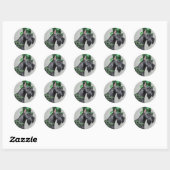 St. Patrick's Day Giant Schnauzer Ronde Sticker (Vel)