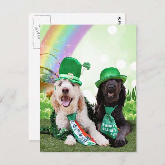 St Patricks Day - Golden Doodles - Sadie en Izzie Briefkaart (Voorkant / Achterkant)