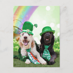 St Patricks Day - Golden Doodles - Sadie en Izzie Briefkaart